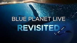Blue Planet Revisited