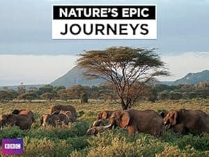 Nature's Epic Journeys