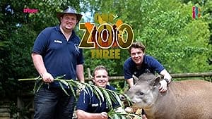 One Zoo Three