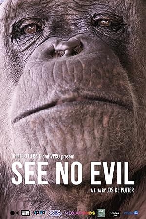 See No Evil