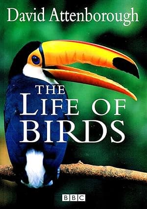 The Life of Birds