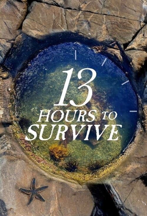 13 Hours To Survive (2025)