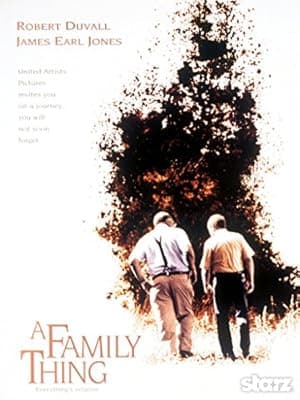 A Family Thing (1996)
