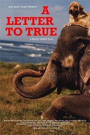 A Letter to True (2004)