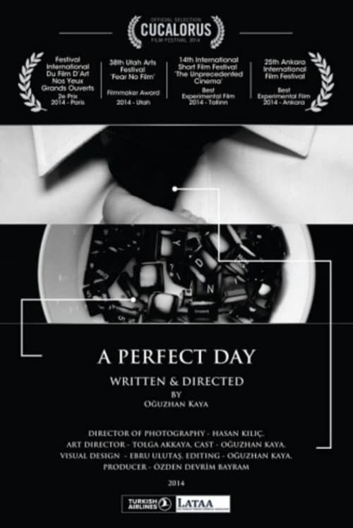 A Perfect Day (2014)