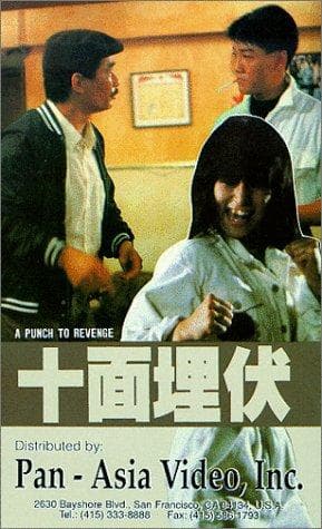 A Punch to Revenge (1989)