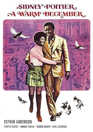 A Warm December (1973)