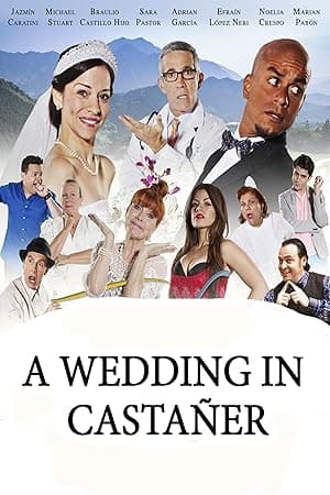 A Wedding in Castañer (2015)