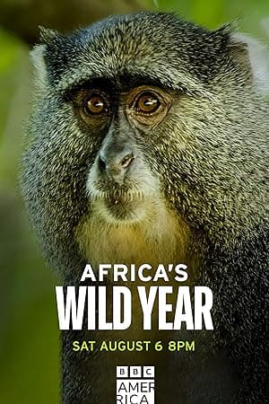 Africa's Wild Year