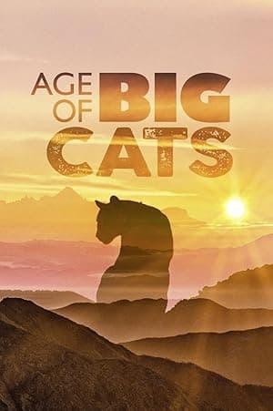Age of Big Cats