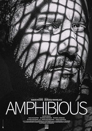 Amphibious (2020)