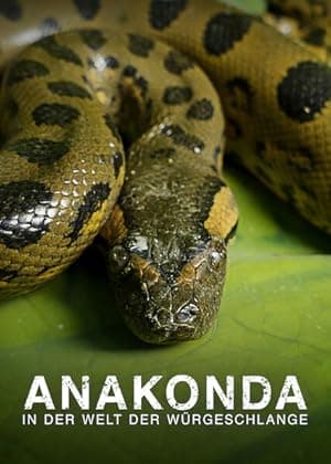 Anaconda: Silent Killer (2014)