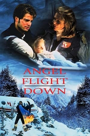 Angel Flight Down