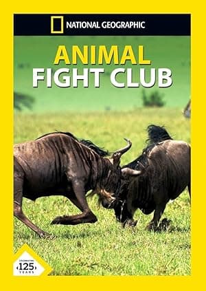 Animal Fight Night