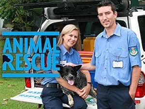 Animal Rescue (2021)