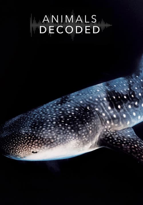 Animals Decoded (2018)