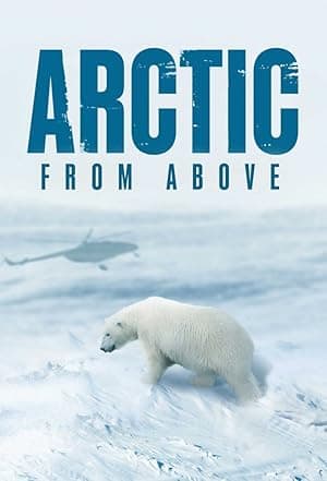 Arctic from Above