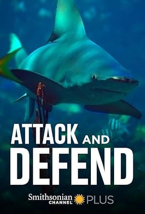Attack and Defend