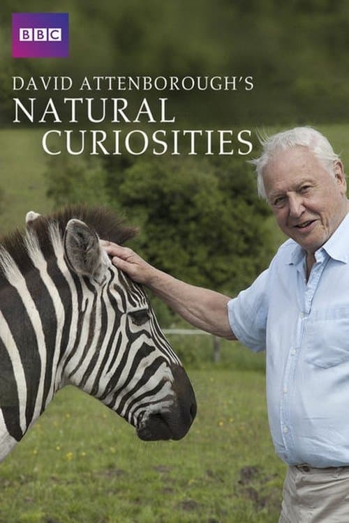 Attenborough's Natural Curiosities