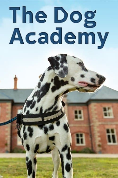 Bad Dog Academy (2023)