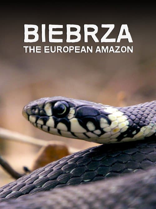 Biebrza - The European Amazon