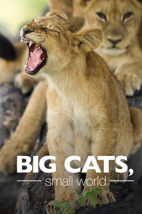Big Cats, Small World (2024)