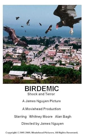 Birdemic: Shock and Terror (2010)