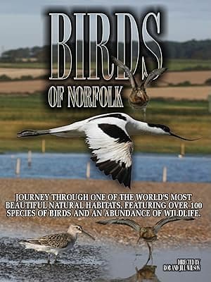 Birds of Norfolk