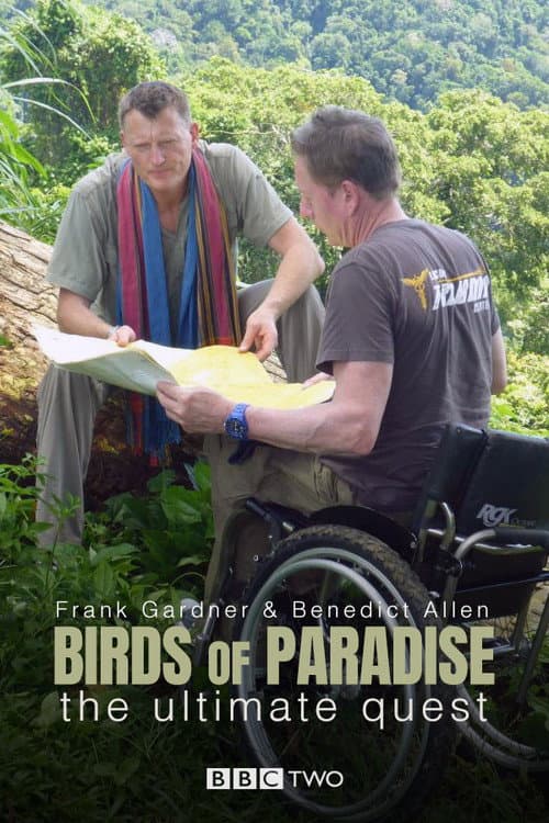 Birds of Paradise