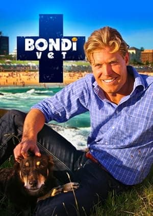 Bondi Vet (2009)