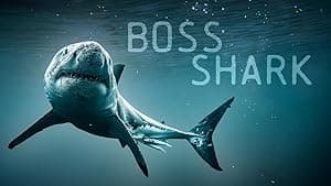 Boss Shark (2024)