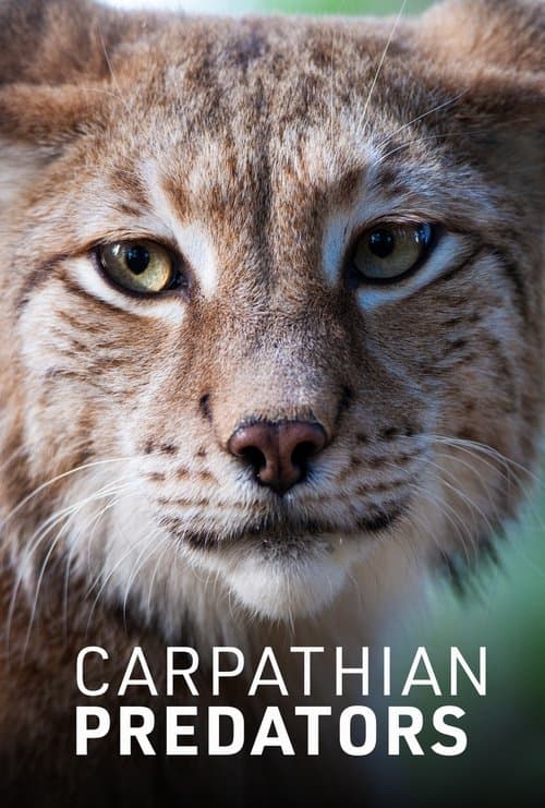 Carpathian Predators (2019)