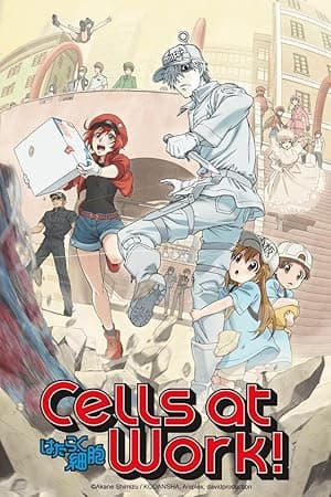 Cells at Work! (2018)