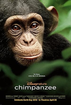 Chimpanzee (2012)
