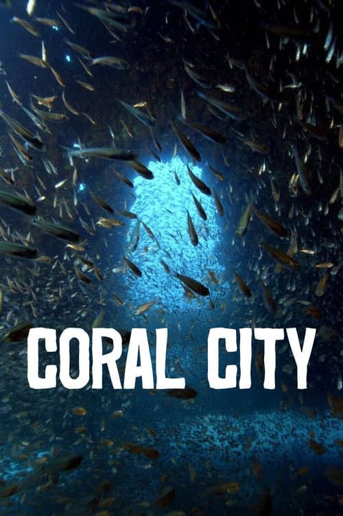 Coral City (2025)