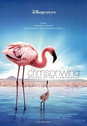 Crimson Wing (2008)