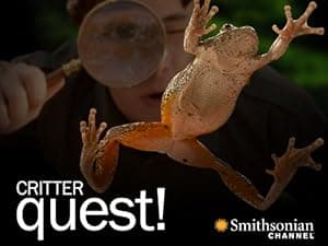 Critter Quest (2007)
