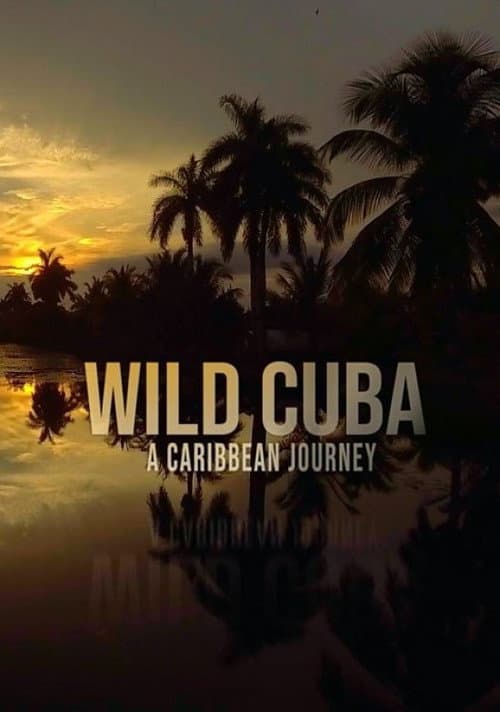Cuba's Wild Revolution