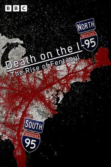 Death On The I-95