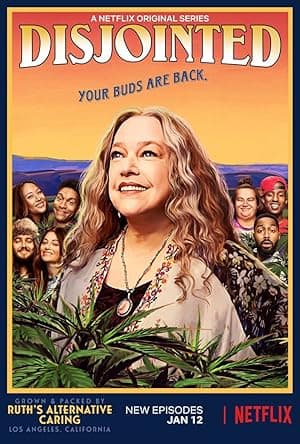 Disjointed (2017)