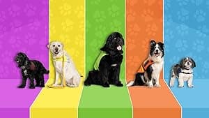 Dog Squad