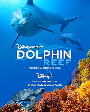 Dolphin Reef (2018)