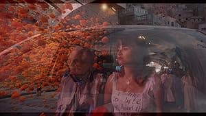 Don Barry: A Quixotic Exploration (2024)