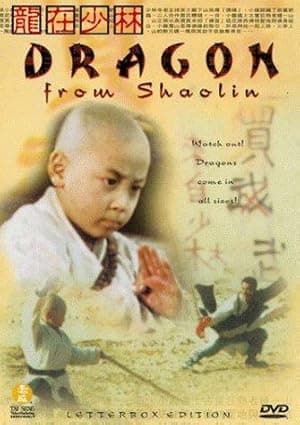 Dragon from Shaolin (1996)
