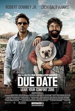 Due Date (2010)