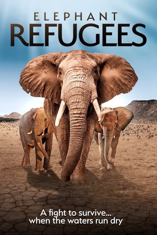 Elephant Refugees (2020)