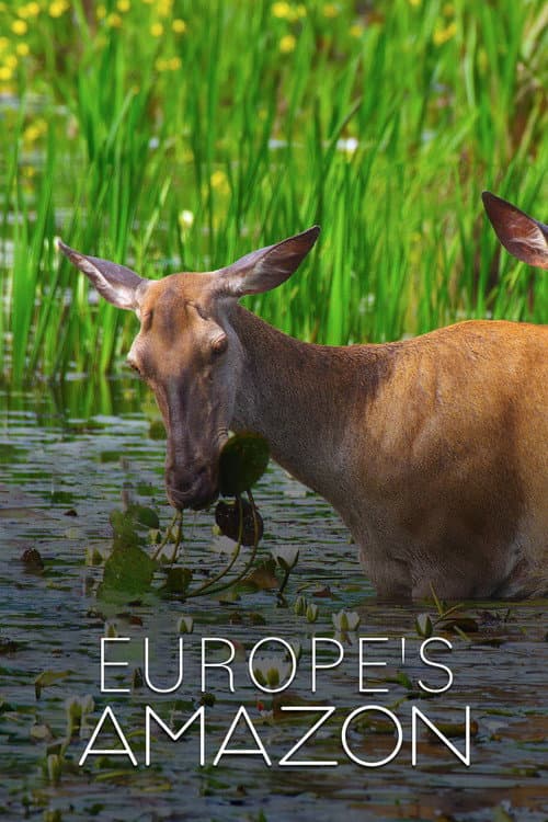 Europe's Amazon (2025)