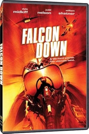 Falcon Down (2001)