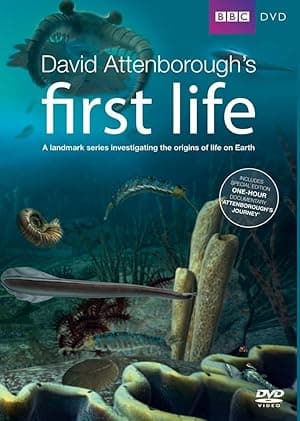 First Life (2010)