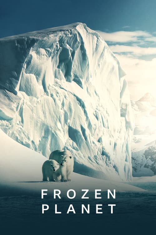 Frozen Planet (2011)